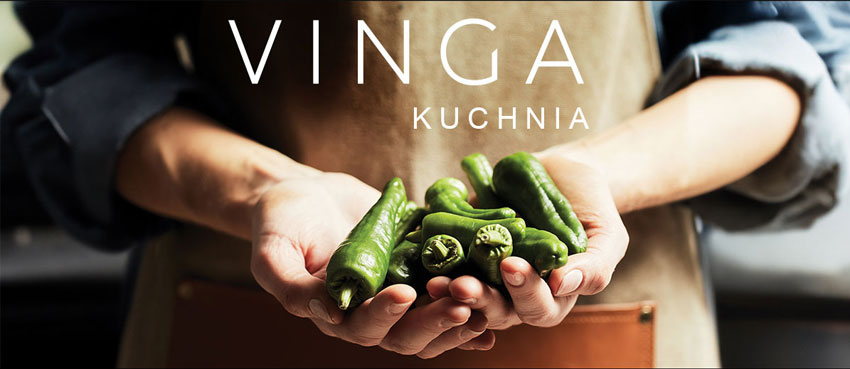 vinga_1
